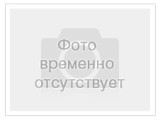 Яйцо